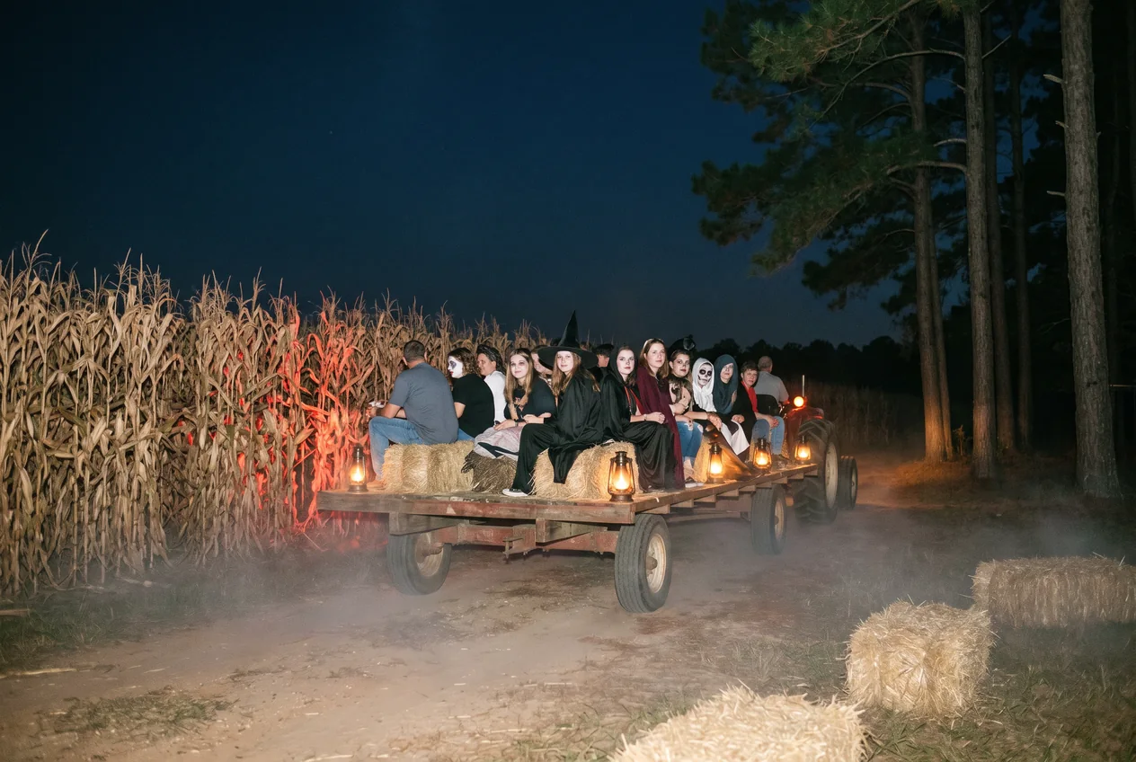 Costumed visitors riding a hay wagon at night past a dark corn maze edged by tall pine trees, lit by orange lanterns and low fog