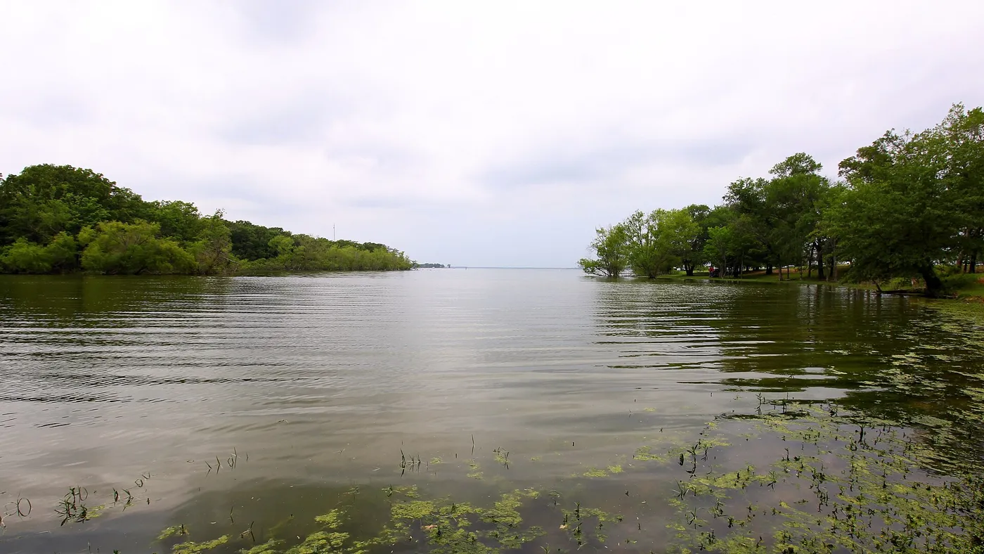 A calm lake with tree-lined shores reaching out on both sides under a pale sky