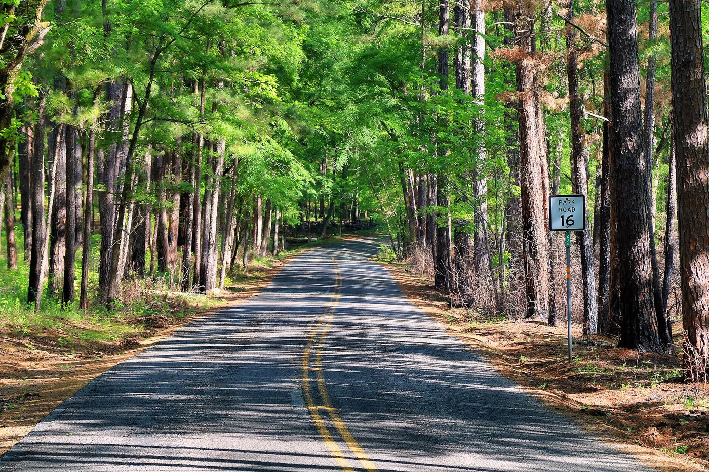 Tyler State Park and two more within an hour, and where to eat after